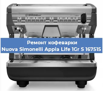 Замена прокладок на кофемашине Nuova Simonelli Appia Life 1Gr S 167515 в Санкт-Петербурге